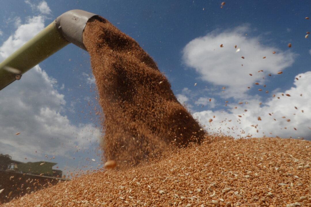 Ukraine War Creates Wheat Crisis in Middle East and North Africa, China Looking to Take Advantage