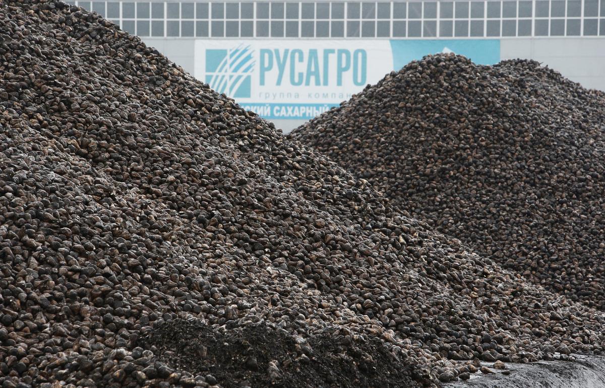 Russian Billionaire Moshkovich Cuts Stake in Rusagro to Below 50 Percent