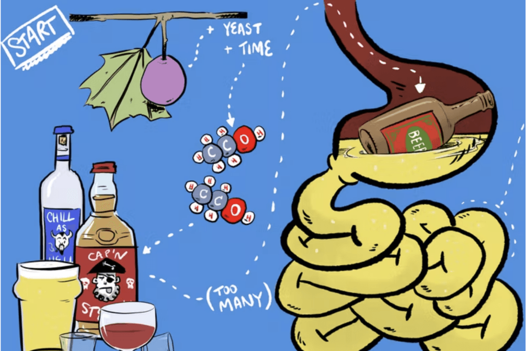 Drink, Drank, Drunk: What Happens When We Drink Alcohol (Video)
