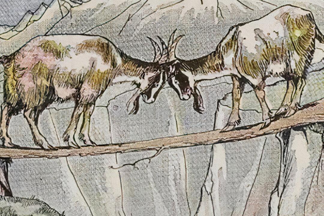 Aesop’s Fables: The Two Goats