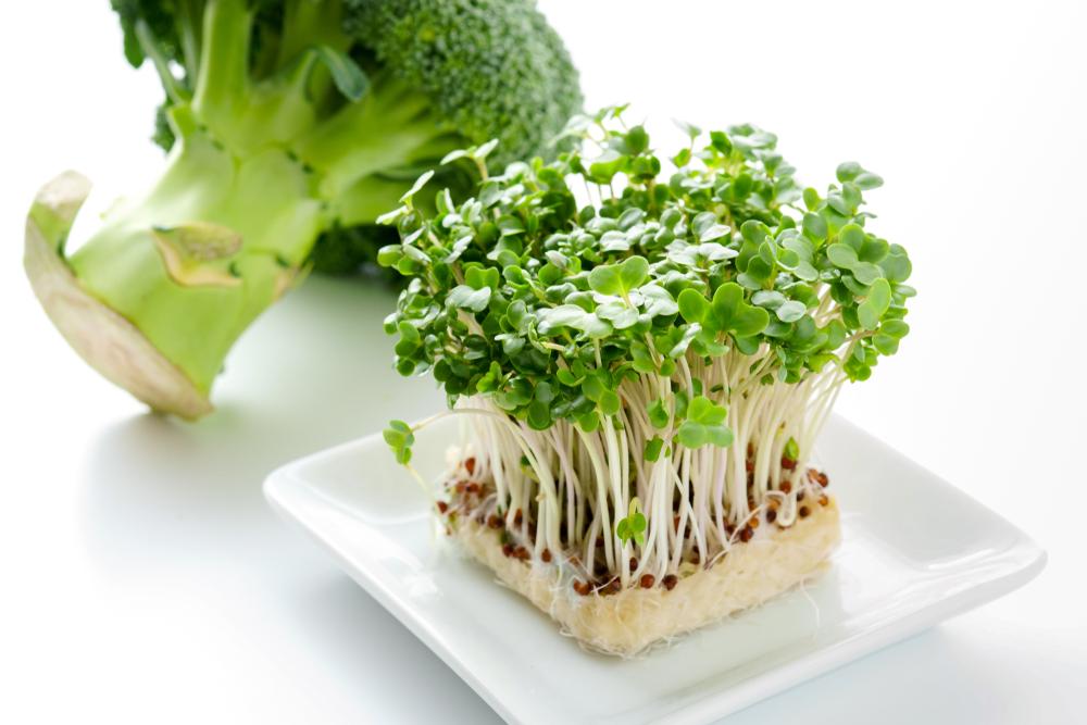 Broccoli Compound May Boost Cognitive Function
