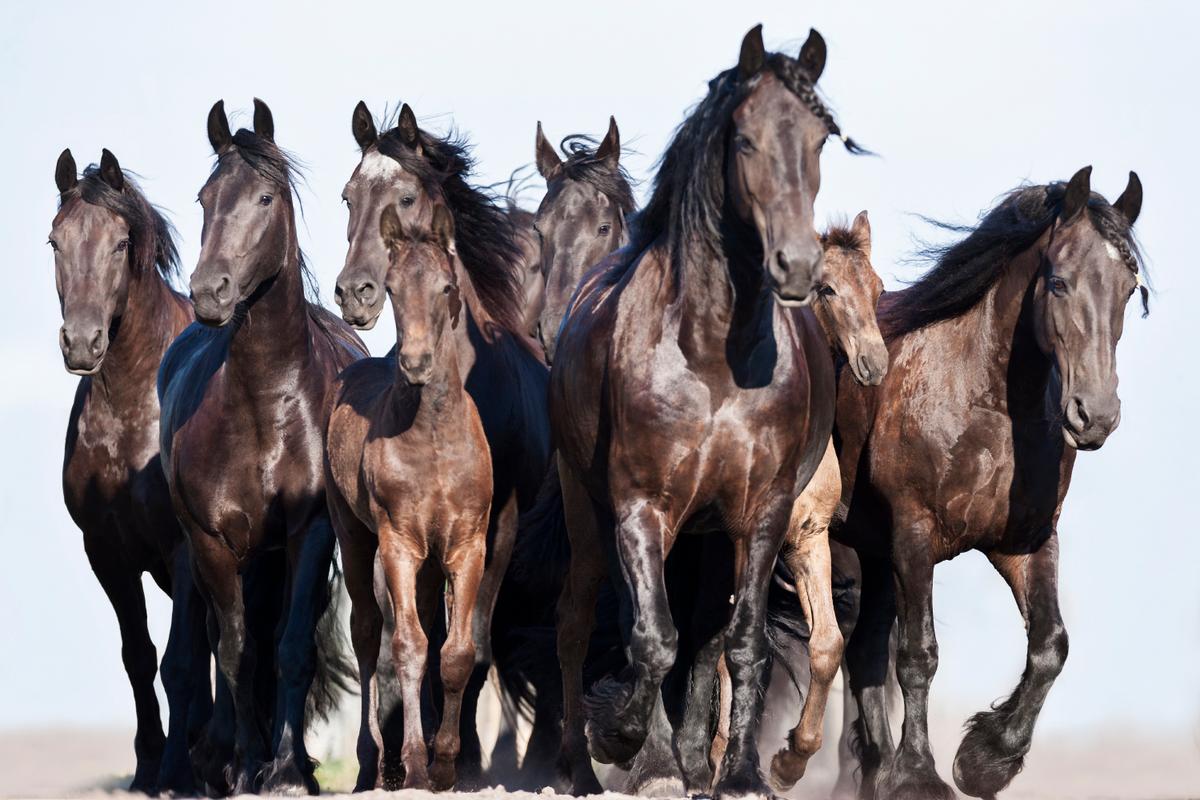 (Courtesy of <a href="https://www.slawik.com/">Christiane Slawik</a>)