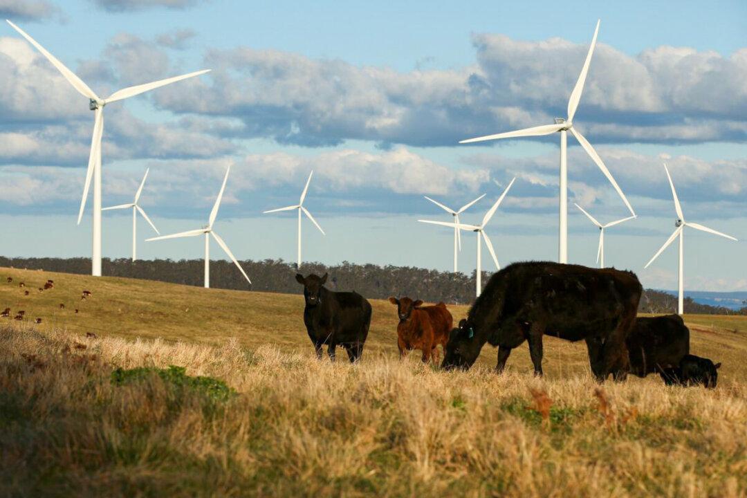 Disposal Plan Needed for Tonnes of Future Wind Turbine Waste: Expert