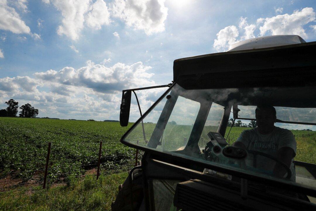 Argentina Halts Export Registration for Soy Oil, Meal