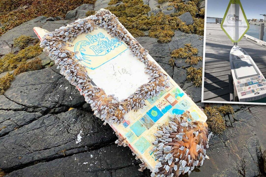 Mini Sailboat Launched by US Middle Schoolers in 2020 Found Washed Up in Norway by Student 462 Days Later