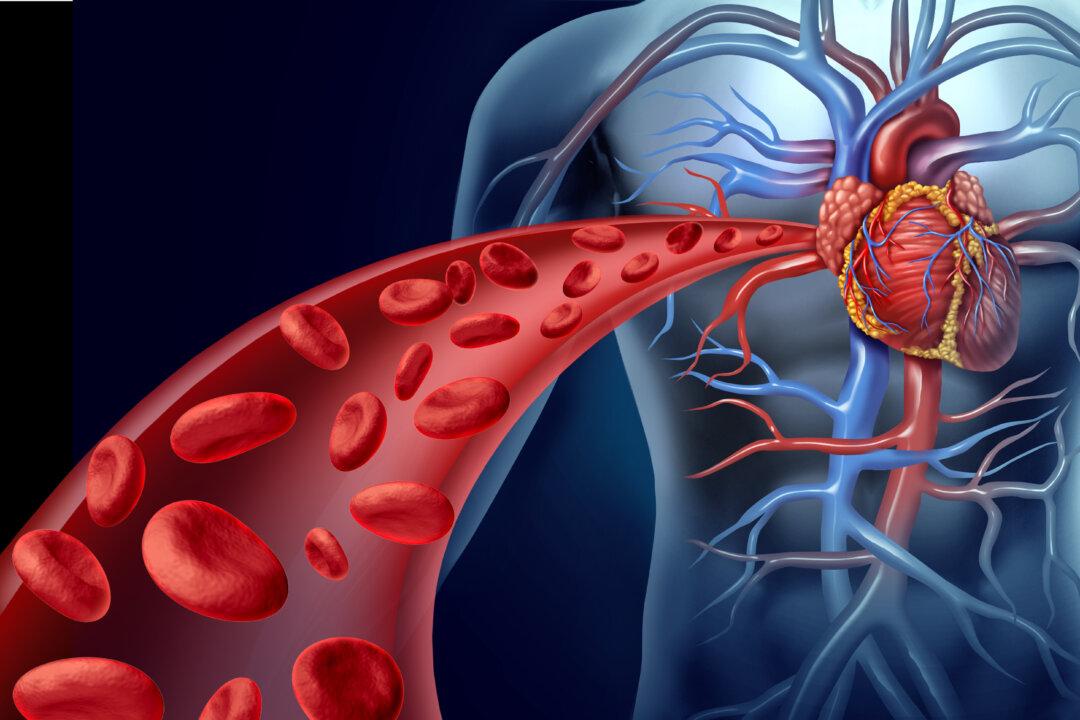 Lower Cholesterol and Prevent Heart Disease Without Drugs