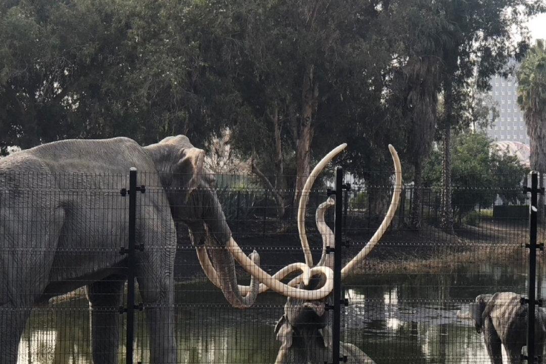 Prehistoric Creatures Rule in the Middle of Los Angeles