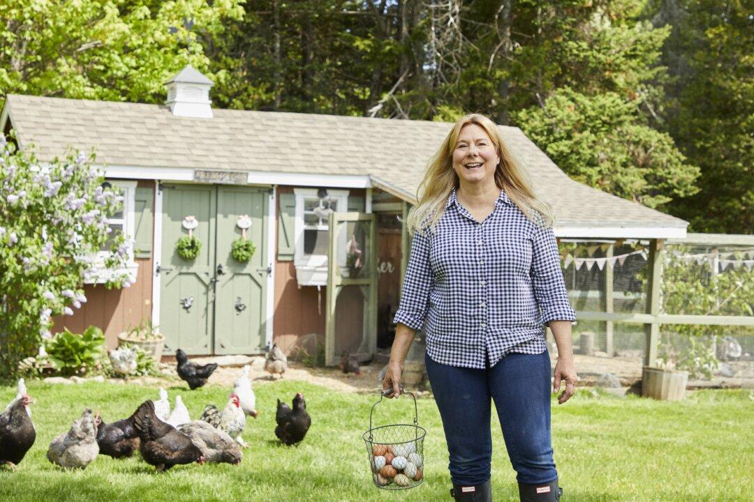 From Wall Street to the Farm: Meet America’s Most Beloved Chicken-Keeping Guru
