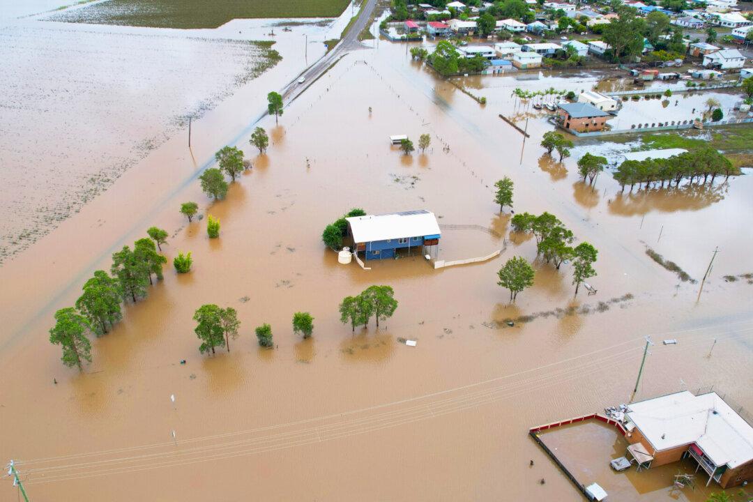 Three Million Baby Oysters Rescued From Floods