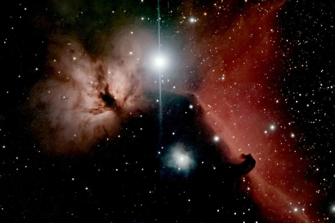Amateur Astrophotographer Shoots Jaw-Dropping Images of Galaxies Millions of Light-Years Away in His Backyard