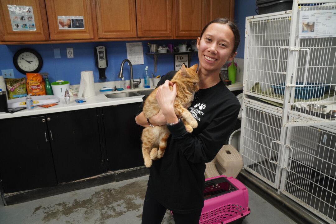 Lifting of Eviction Moratoriums Driving New Wave of Pet Surrenders