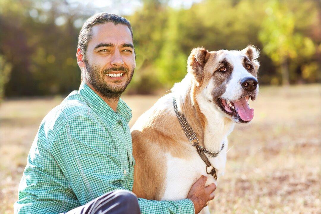 Many Ways to Relieve a Dog’s Separation Anxiety