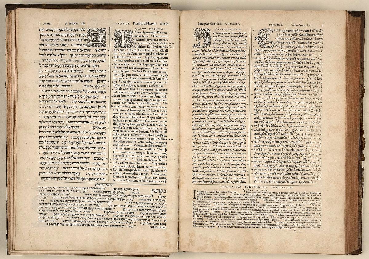 Book Review: ‘The Department of Rare Books and Special Collections’