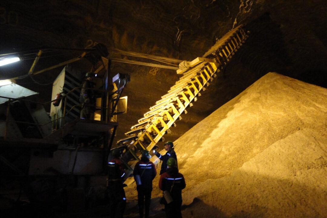 Global Fertilizer Supply Shrinks Amid Sanctions Against Russia and Belarus