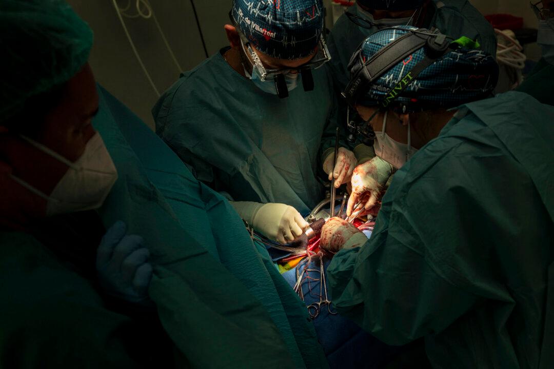 Regenerative Properties of the Newborn Heart Offers Hope for Those With Congenital Heart Disease