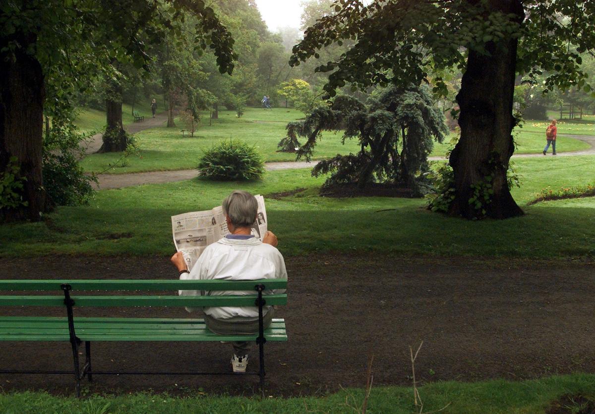 Fake News: The Case for Scrutinizing Government Reports and Articles About Them