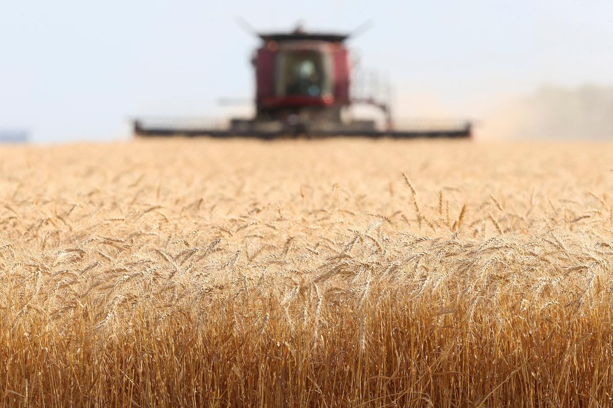 Agriculture Groups Reflect on Ottawa’s Federal Emissions Targets