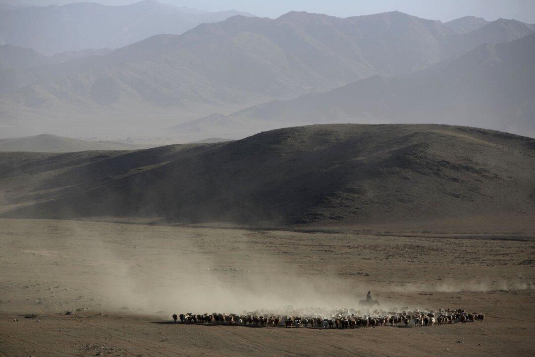 Trapped on Highway for Over 40 Days, Two Chinese Bus Drivers Live on Bus