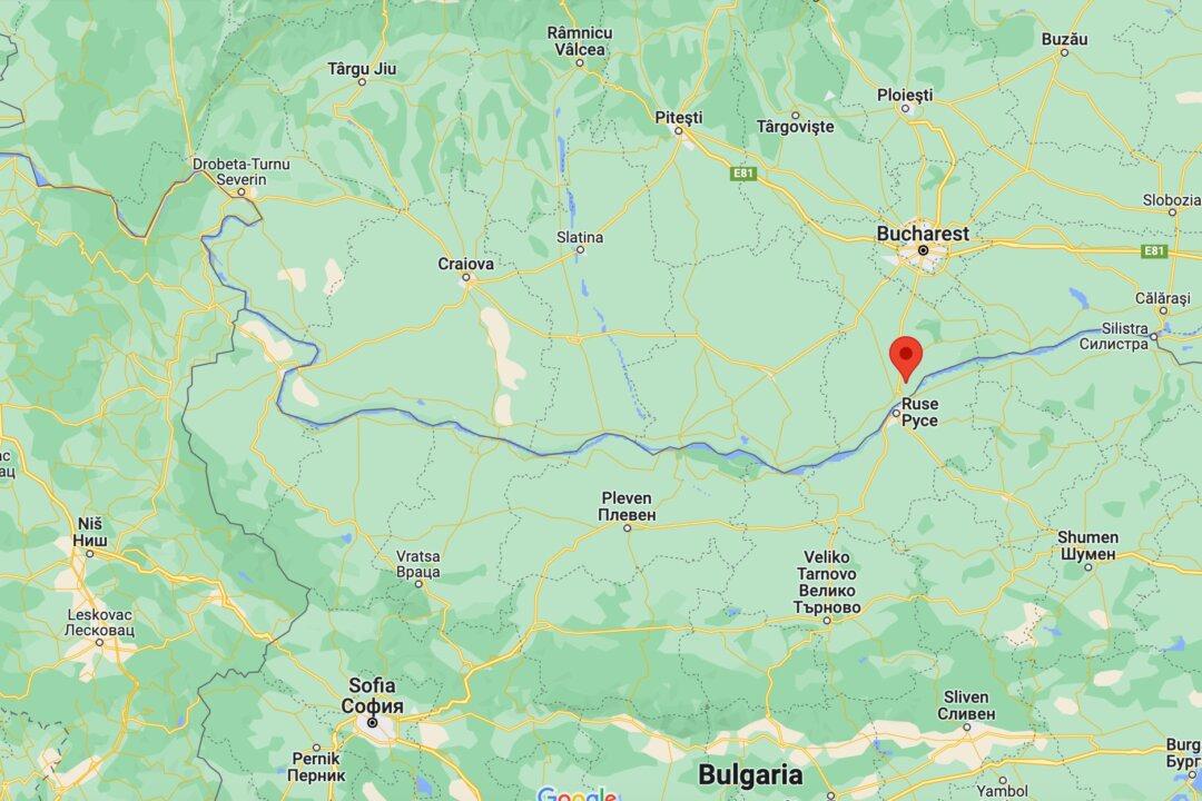 Romania Reports Bird Flu Outbreak on Farm Near Bulgarian Border: OIE