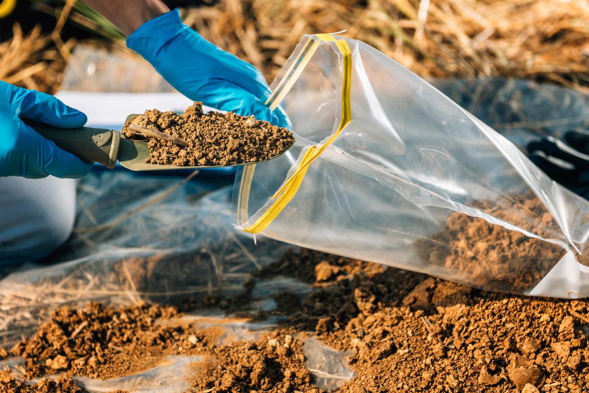 Where to Get Your Garden Soil Tested (State-by-State U.S.)