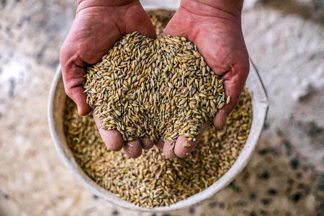 Food Shortages, High Prices Set to Hit Some Countries Hard