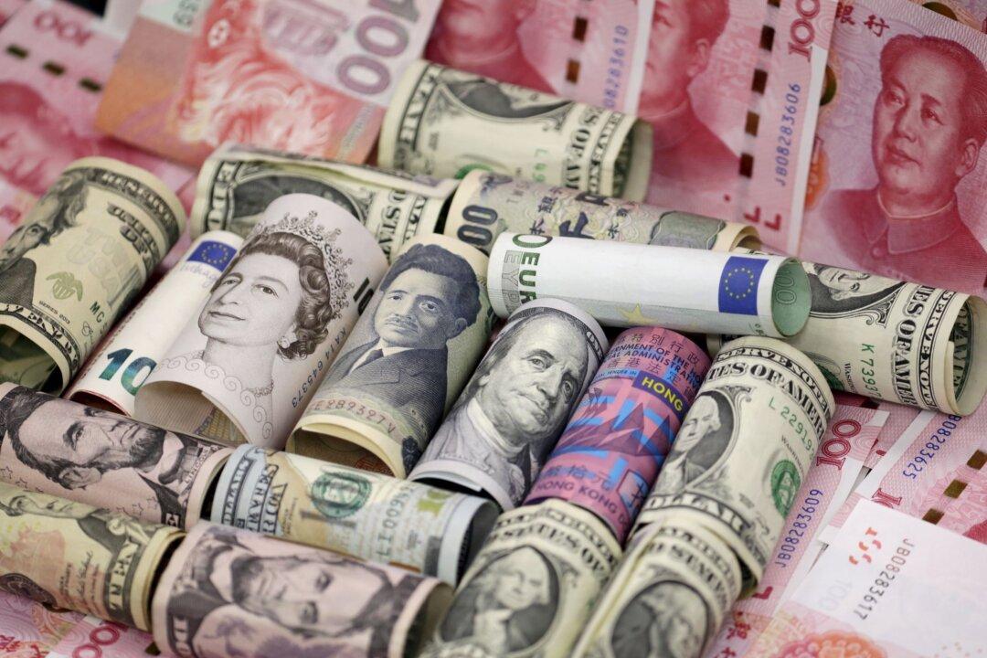 Global Economy Could Split Between US Dollar, Other Currencies: IMF Deputy Chief
