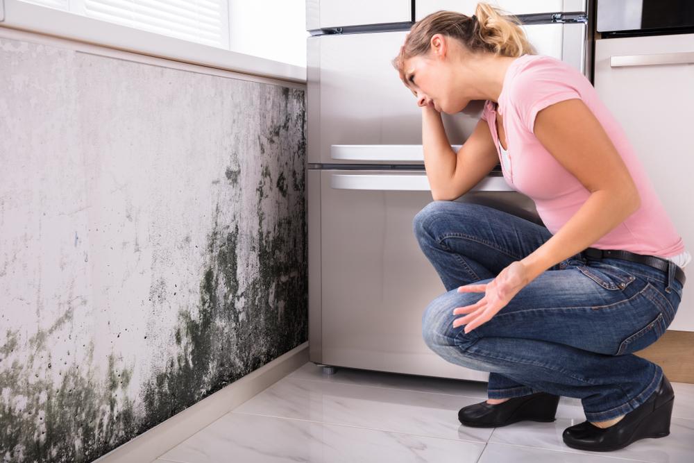 Mold Allergies and Asthma