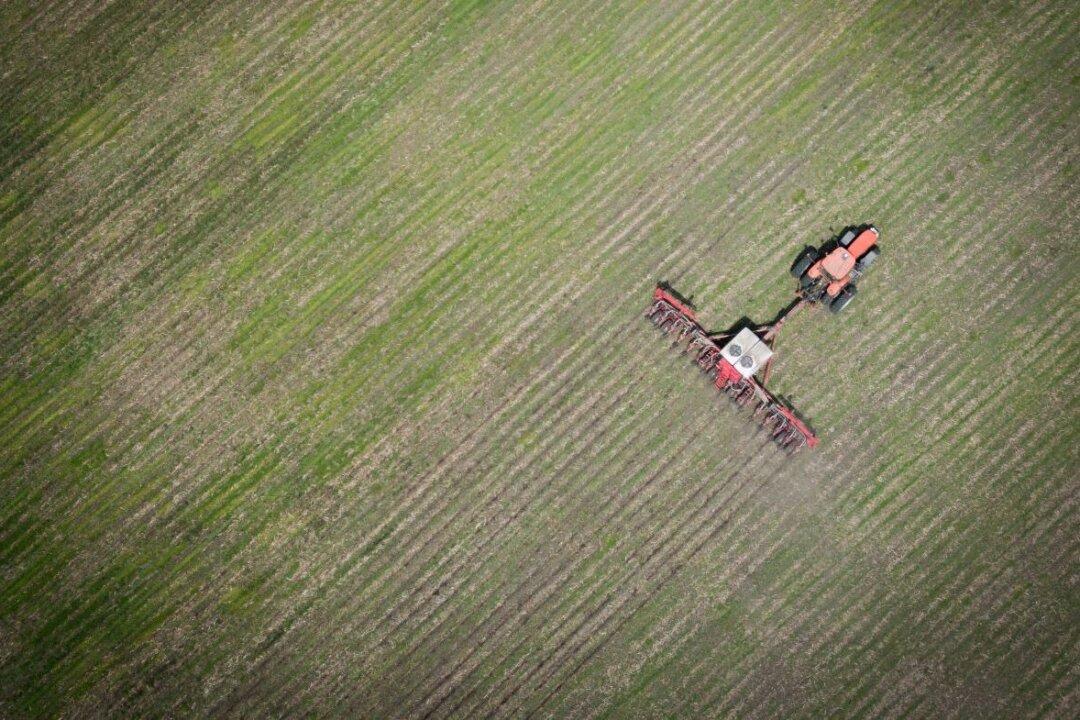 Farmers Paying Triple for Fertilizer: We’re Not the Ones Raising Food Costs