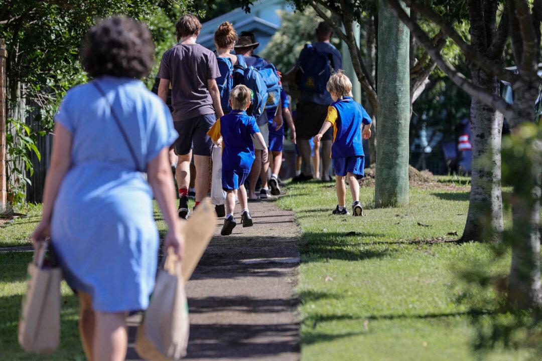 Queensland Teacher Who Identified as a Cat During Class No Longer in the Role
