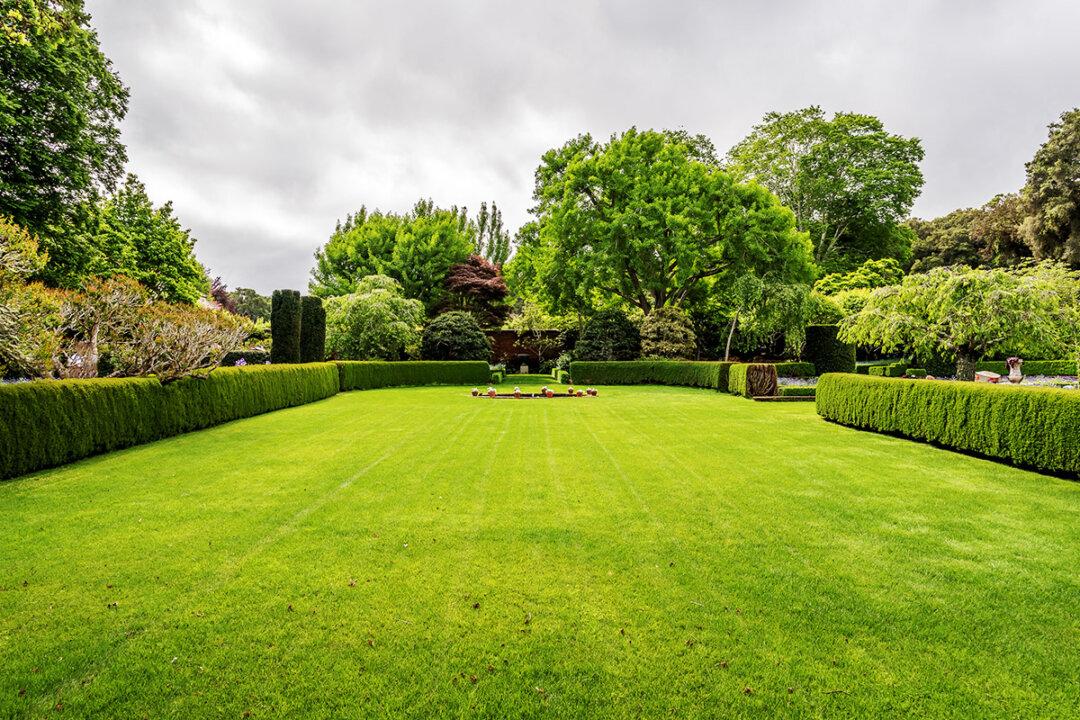A Short History of the American Lawn