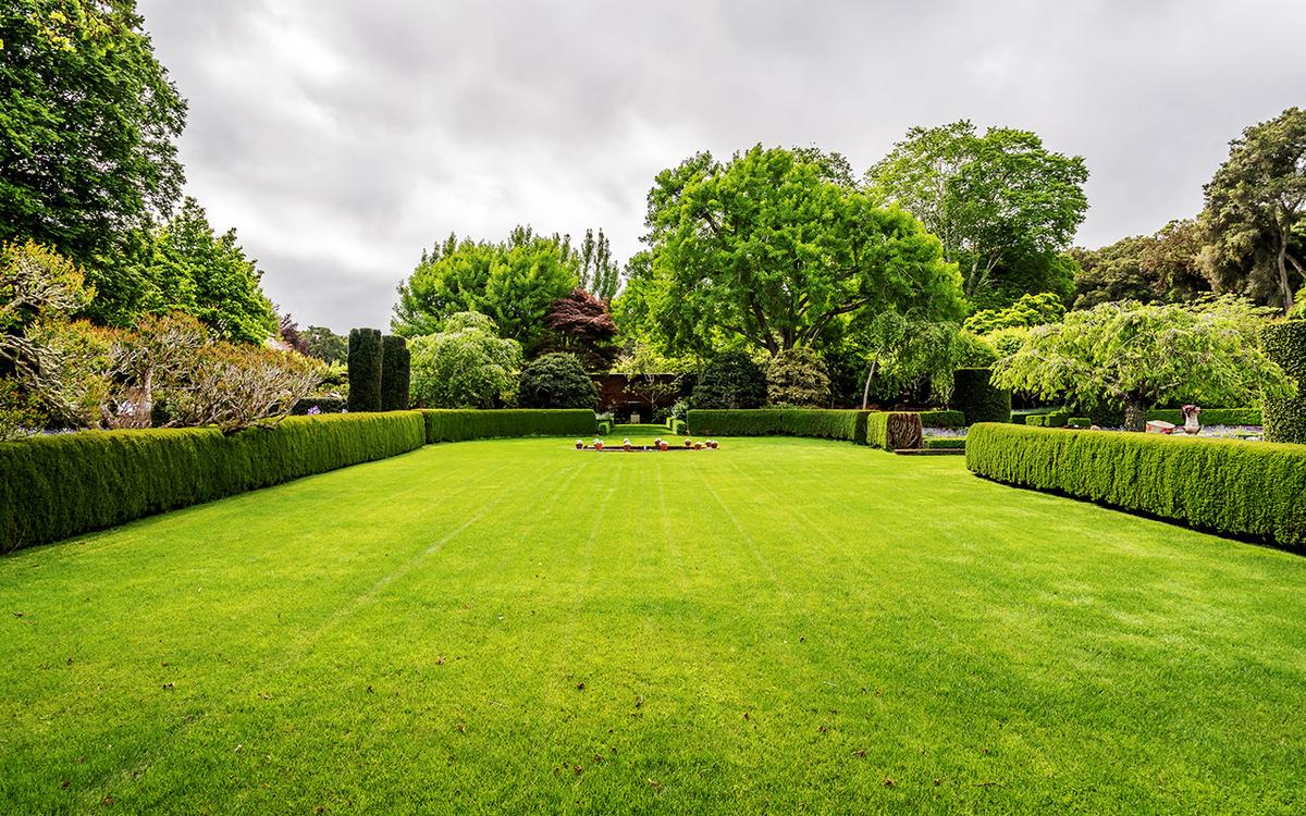 A Short History of the American Lawn