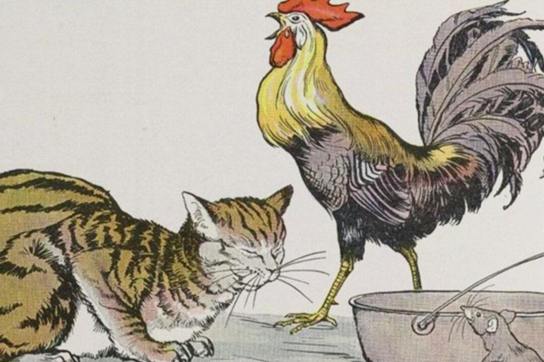 Aesop’s Fables: The Cat, the Cock, and the Young Mouse