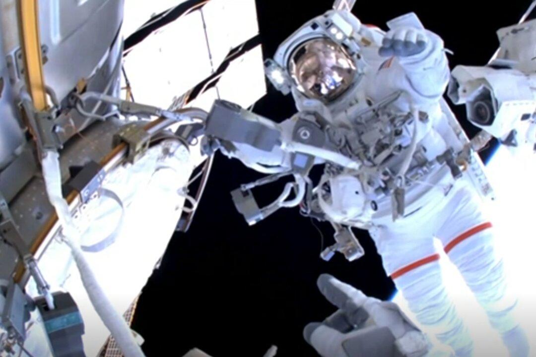 Astronauts Replace Radiator Hose on Space Station