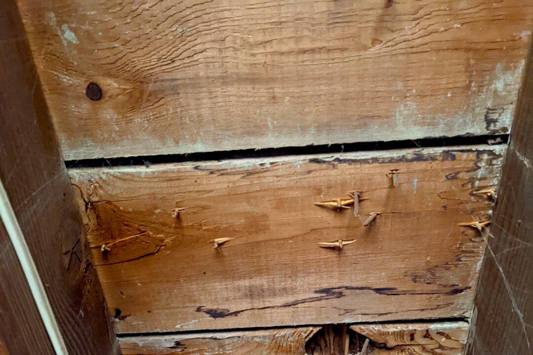 What You Learn Nosing Around an Old House