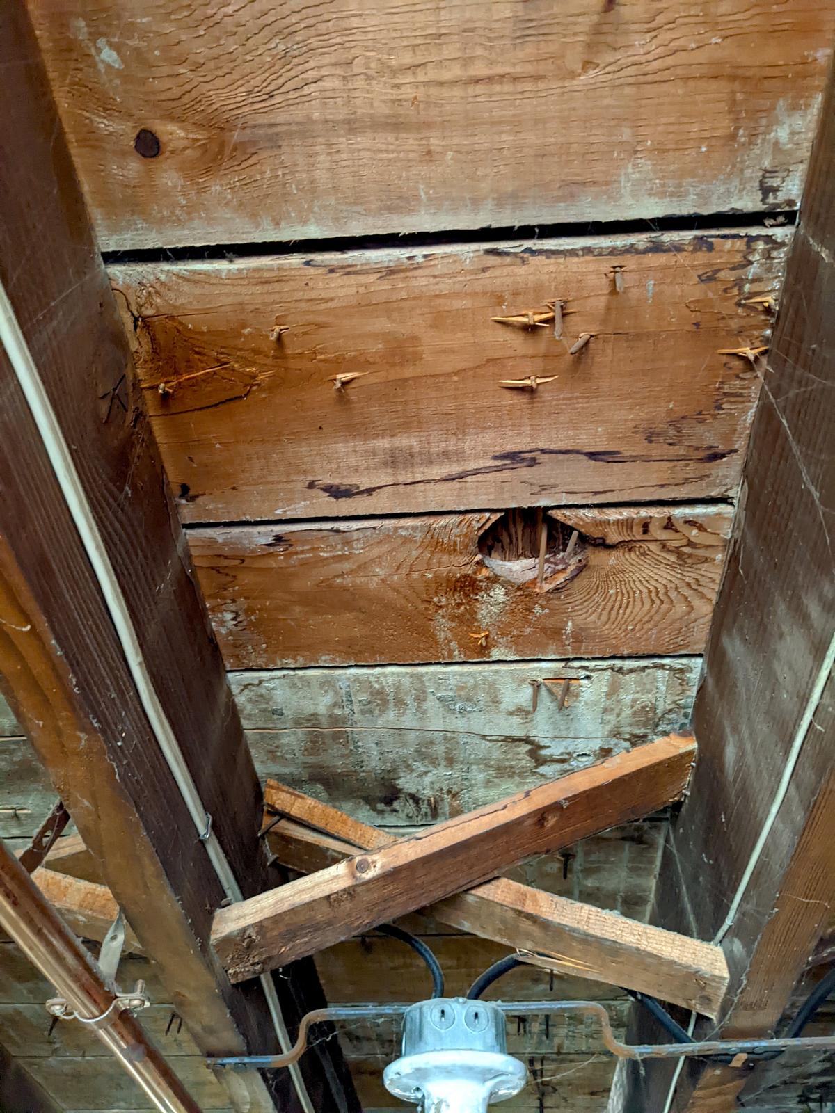 What You Learn Nosing Around an Old House