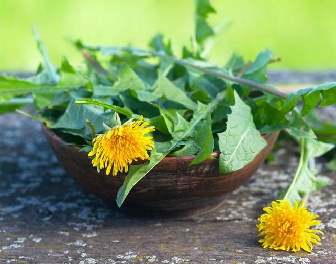 Springtime Foraging: Eat Your Weeds