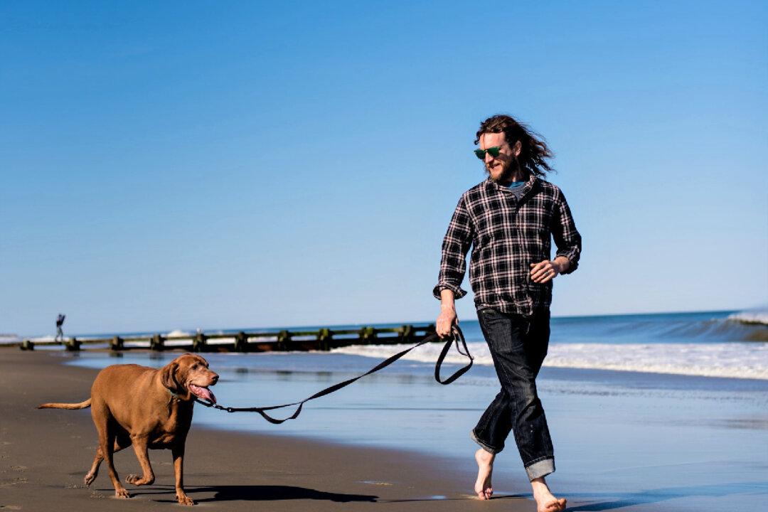 Beachbound in Dog-Friendly Delaware’s Off Season