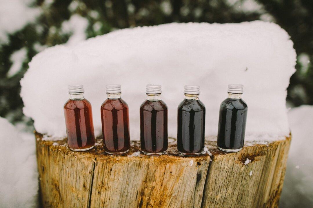 The Rarest Maple Syrup: In the Pacific Northwest, an Impossible Idea Becomes a Sweet Success