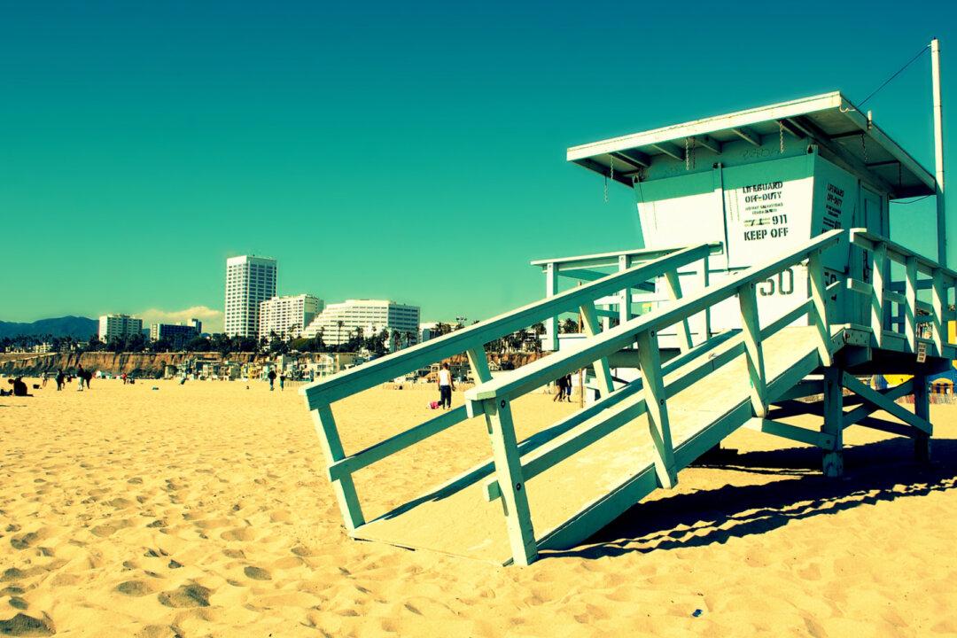 Where Is the Bio-Fascist State Headed?