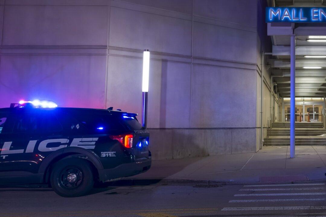 18-Year-Old Arrested in Fatal Shooting at Chicago-Area Mall