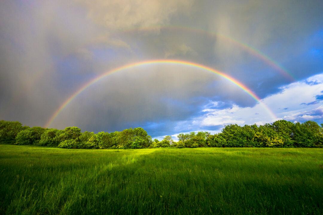 Spring Belongs to the Wood Element, and What Does This Mean?