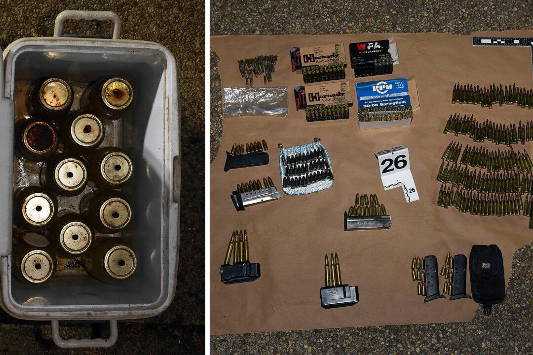 46 Months in Prison for Alabama Man Found With Molotov Cocktails, Firearms, and Machetes on Jan. 6