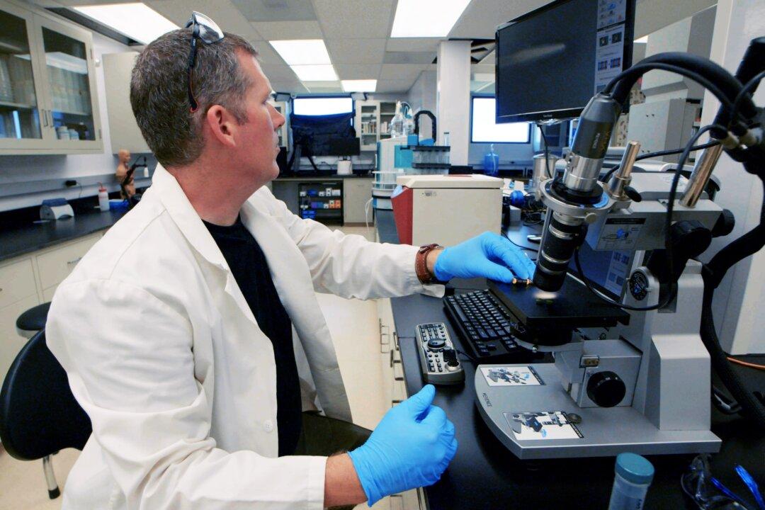 Doomsday ‘Preppers’ Warn of Hard Times Ahead as Preparedness Goes Mainstream