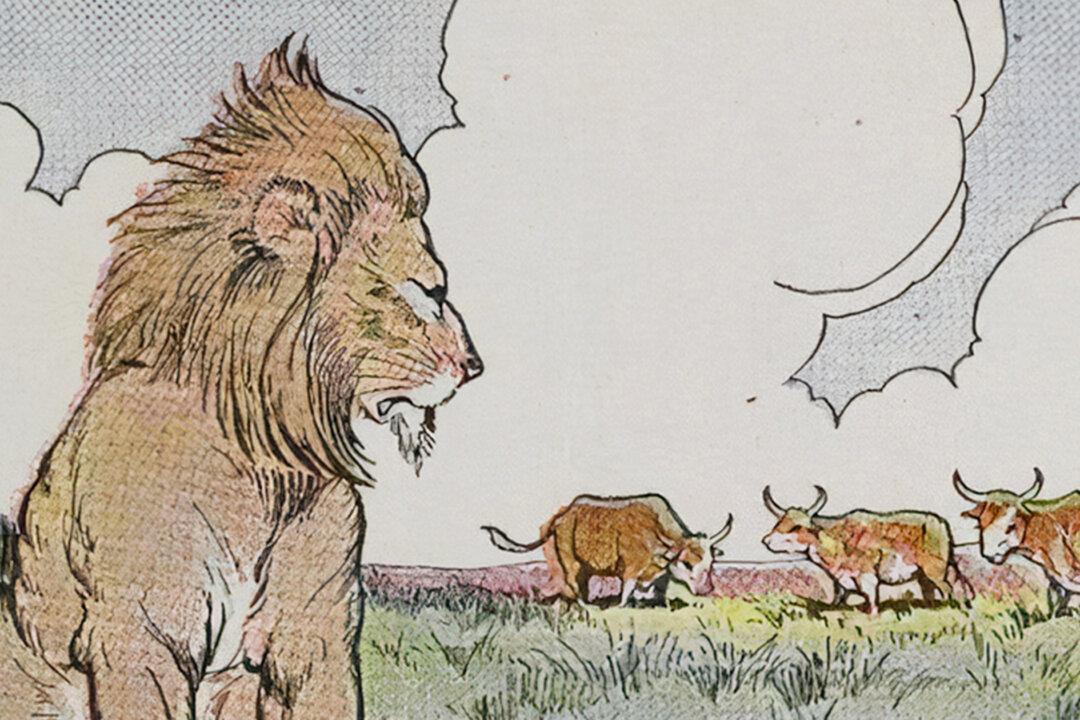 Aesop’s Fables: Three Bullocks and a Lion