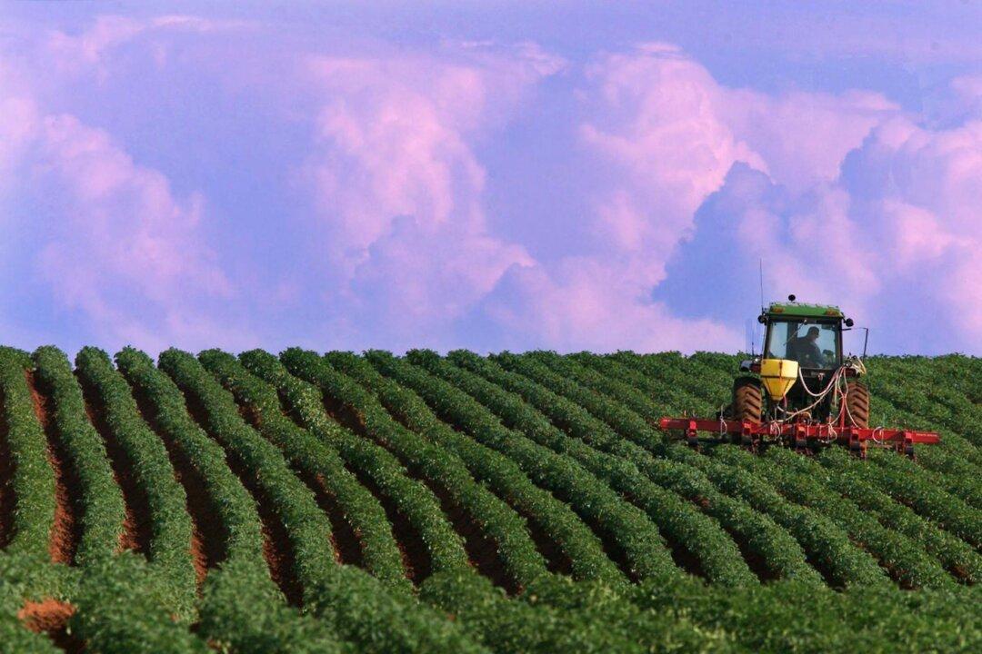 US Authorities Issue Final Order Allowing PEI Table Potatoes Back Over Border