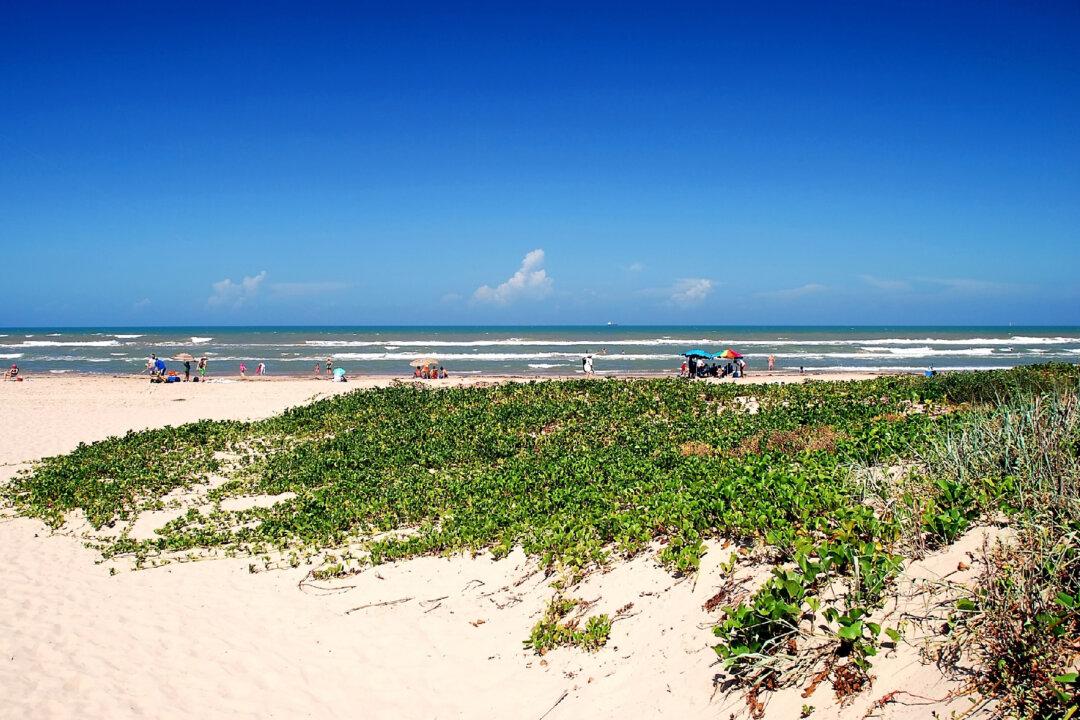 Party or Peaceful: South Padre Island Is for You