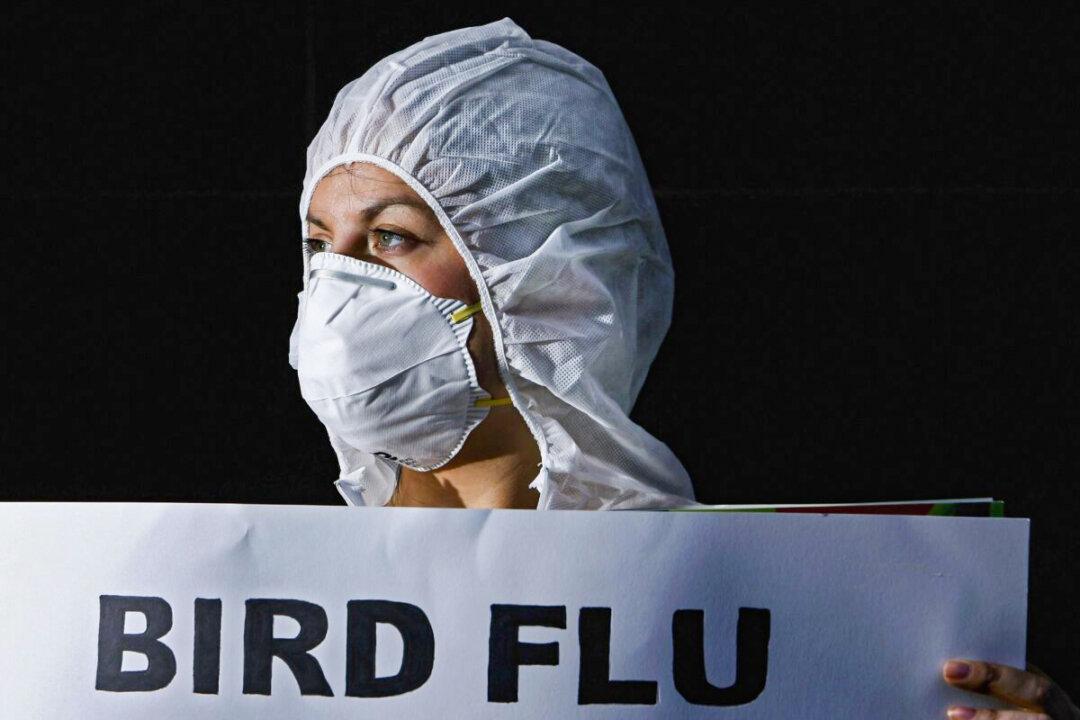 Bird Flu Found in Fox in Japan’s 1st Mammal Infection