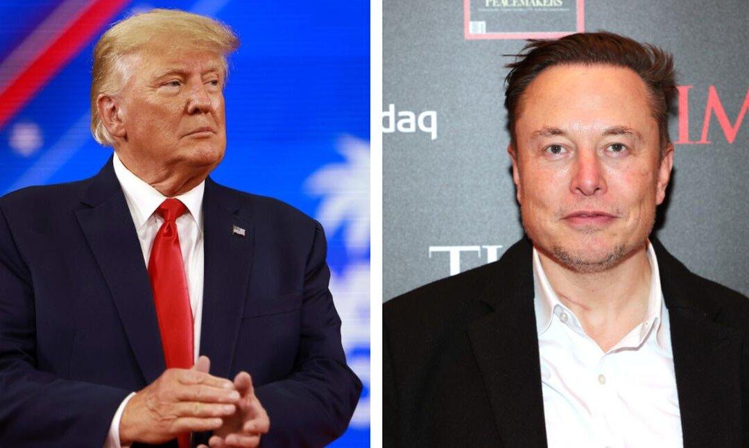 Elon Musk Runs Poll Asking Whether Trump Should Be Reinstated