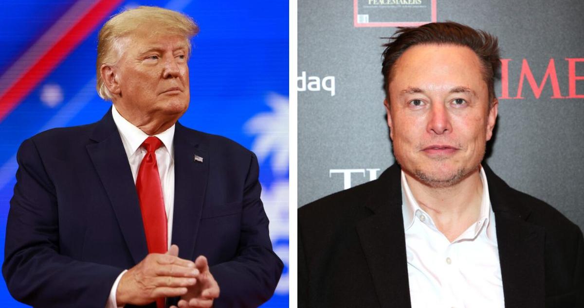 Twitter Reveals Whether Trump Will Be Reinstated After Elon Musk Joins Board