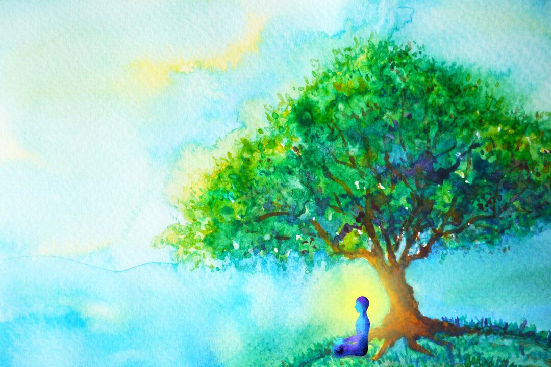 Holistic Guide to Healing the Endocrine System and Balancing Our Hormones